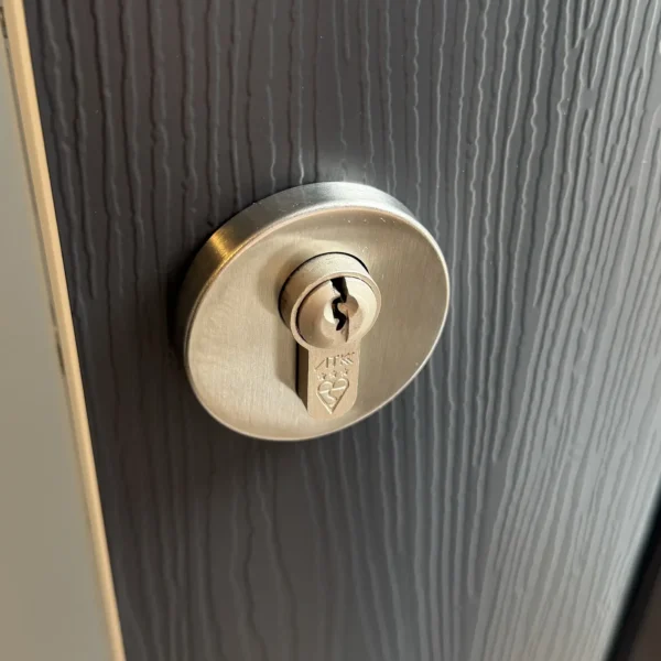Close up of a Stainless Steel escutcheon and lock externally